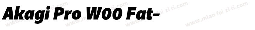 Akagi Pro W00 Fat字体转换